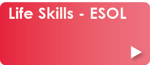 Career News - Life Skills ESOL