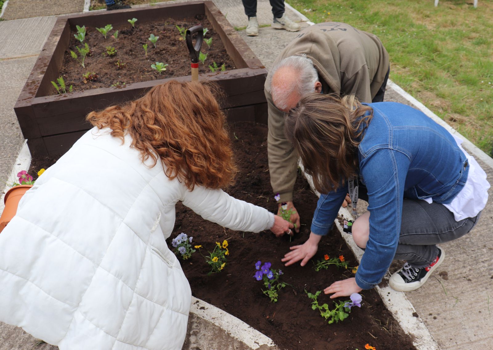 Student Molly and Zara planting flowers with Alan Knight