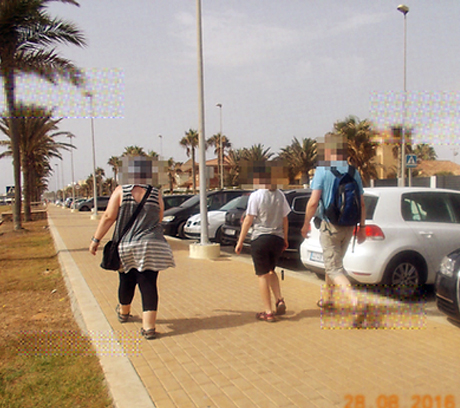Image from Maeve's film showing three people walking with their backs to the camera along road fringed with palm trees