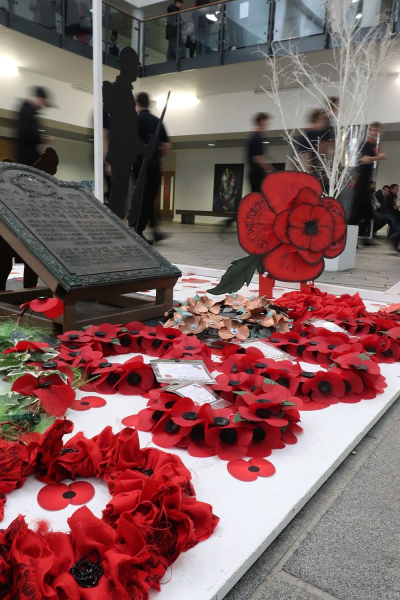 remembrance day display esc