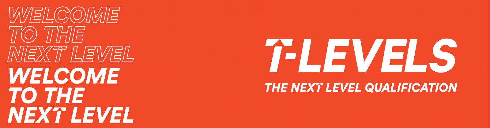 T Levels Logo